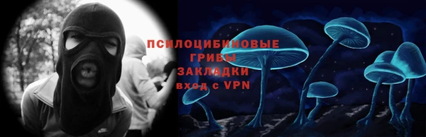 спиды Аркадак