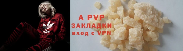 спиды Аркадак