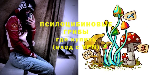 спиды Аркадак